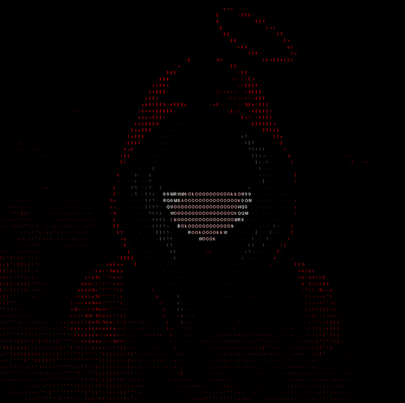 ascii-image-art processed images