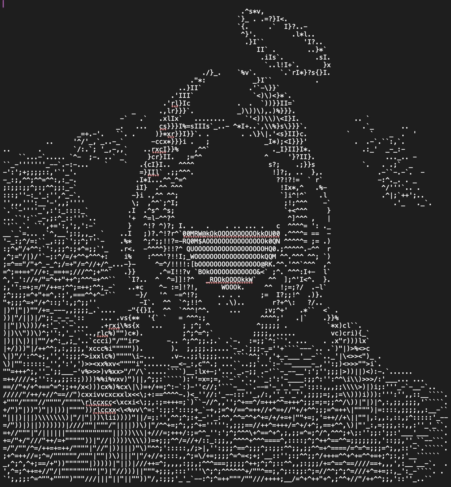 ascii-image-art processed images